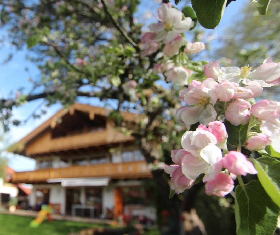 Appartementhaus Schirsner - Direkt Am See & Am Kurpark Schliersee Eksteriør bilde